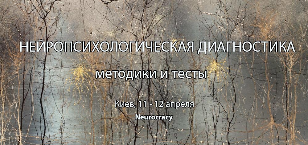 Нейропсихологическая диагностика: методики и тесты